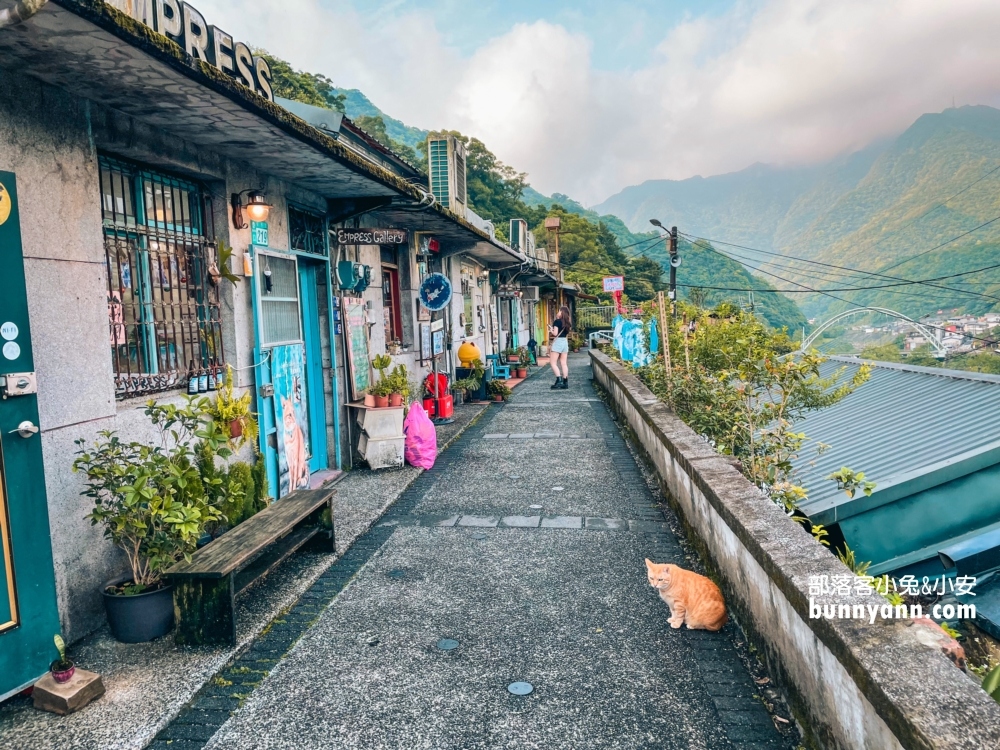 瑞芳【猴硐貓村】侯硐景點一日遊這樣玩不繞路!!