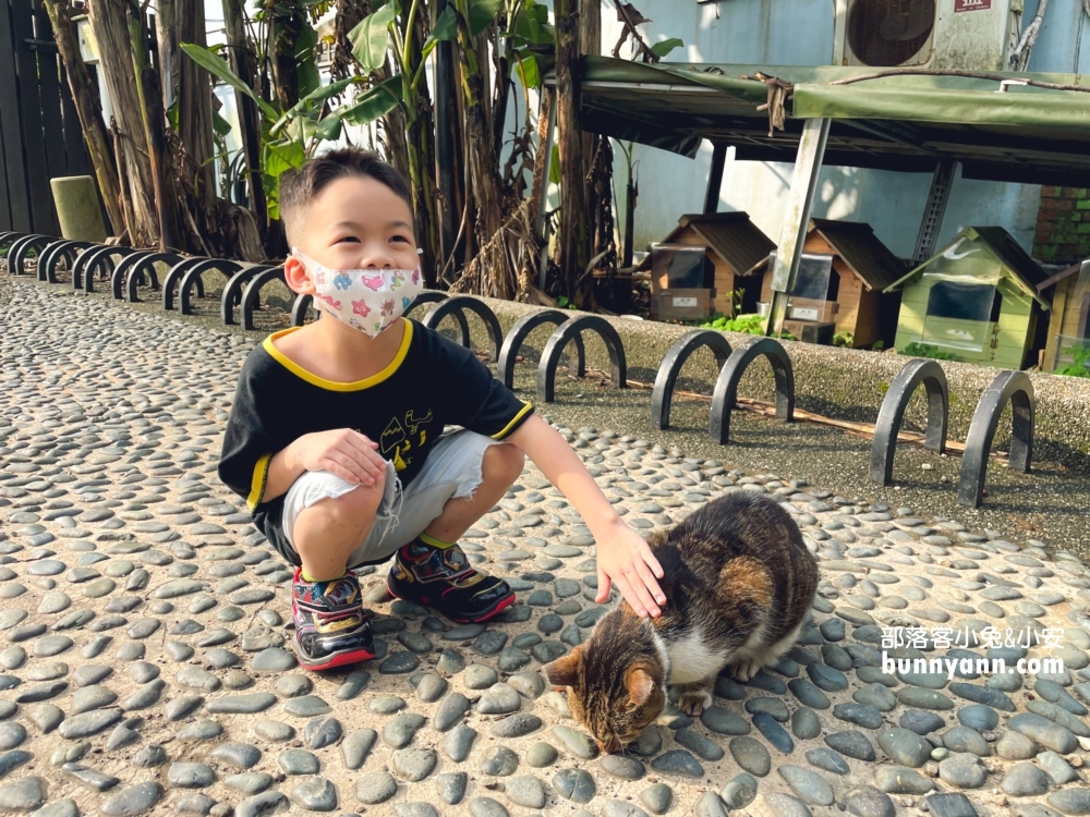 瑞芳【猴硐貓村】侯硐景點一日遊這樣玩不繞路!!