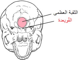 قويعدة