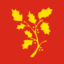 Flag of Stord.png