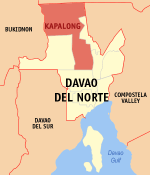 Mapa han Davao del Norte nga nagpapakita kon hain nahamutangan an Kapalong