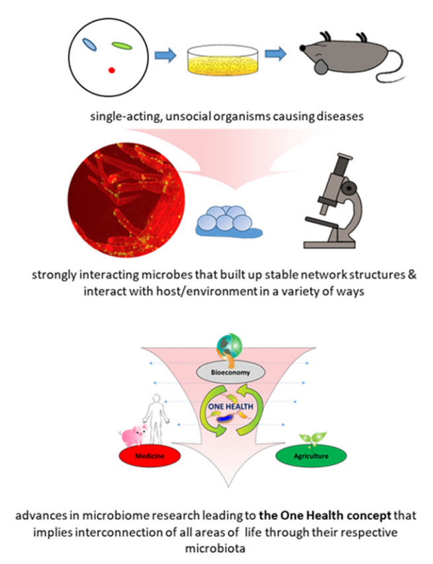 Shift of paradigm from microbes as unsocial organisms causing diseases to a holistic view of microorganisms as the centre of the One Health Concept interconnecting all areas of human lives.[2]