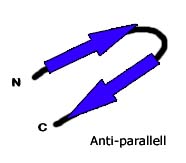 Antiparallell