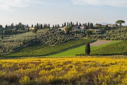 Paesaggio nel territorio rurale di Bagno a Ripoli