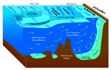 In the photo there is North Atlantic Deep Water moving to the right towards the Antarctica land mass while Antarctic Bottom Water moves from the Antarctica land mass downwards towards the ocean floor and to the left. In the middle of these two water masses we see Circumpolar Deep Water being formed from the combination of these masses. The Circumpolar Deep Water moves towards the right toward the Antarctica land mass. There is additional surface water descriptions and arrows indicating their direction.