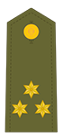 Capitão