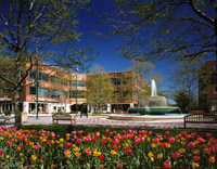 Fountain on the Square