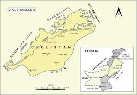 Image illustrative de l’article Désert du Cholistan