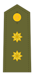 Tenente Coronel