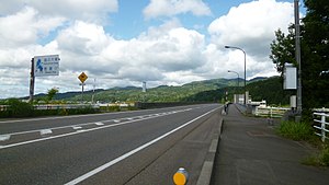 越の大橋。左岸より撮影。