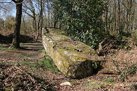 La Roche-qui-Chôme.