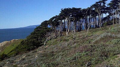 Lands End is south of the entrance to the Golden Gate