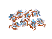 2ov2: The crystal structure of the human RAC3 in complex with the CRIB domain of human p21-activated kinase 4 (PAK4)