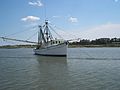 Fischerboot vor Tybee Island