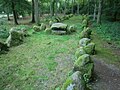 Großsteingrab im Kleckerwald, nahe Bendestorf