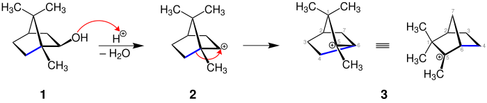 Mechanismus der Dehydratisierung von Isoborneol (Teil 1)