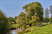 Berkel between Coesfeld and Gescher