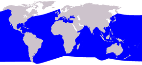 Description de l'image Cetacea range map Cuvier's Beaked Whale.png.