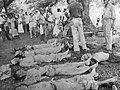 Cadavres lors de la marche de la mort de Bataan du camp de prisonniers de Cabanatuan.