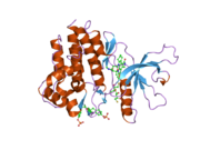 1yvj: Crystal structure of the Jak3 kinase domain in complex with a staurosporine analogue