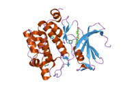 2o63: Crystal structure of Pim1 with Myricetin