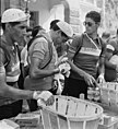 Plan rapproché de Fausto Coppi, vu de profil, vêtu d'un tee-shirt, d'une casquette et de gants