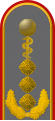 Dienstgradabzeichen eines Generaloberstabsarztes (Approbation für Humanmedizin) auf dem Schulterstück der Jacke des Dienstanzuges für Heeresuniformträger