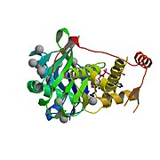 3D structure of histone acetyltransferase