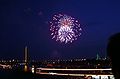 Feuerwerk zum Japan-Tag