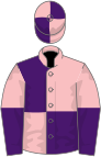Pink and purple (quartered), halved sleeves