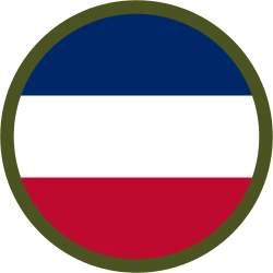 United States Army Forces Command SSI.svg