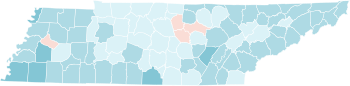 Final results by county