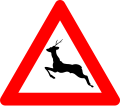 A27: Wild animal crossing
