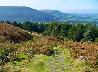 The Cleveland Way