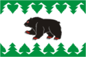 Flag of Turinsk
