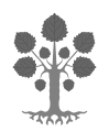 Pioppo araldico: la rappresentazione privilegia la forma della foglia, per identificare la pianta, rispetto all'aspetto generale dell'albero