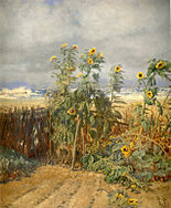 Sunflowers growing on the beach