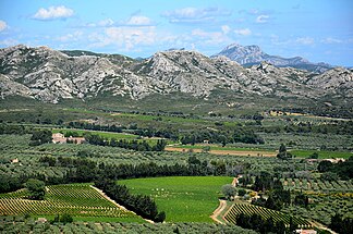 Alpilles bei Les-Baux