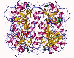 Thymidinkinase