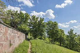 Jägerpfad Richtung Mainberg