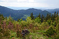 Blick nach Südosten auf die Ausläufer der Hohen Wand