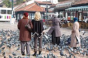 Feeding pigeons at Baščaršija