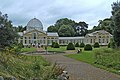 Le conservatoire de Syon Park