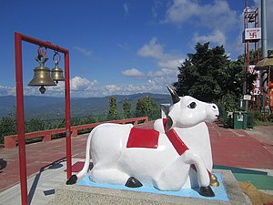 Shiva's sacred bull, Nandi, at Haidakhan Babaji ashram, Chilianola