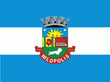 Vlag van Nilópolis