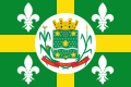 Bandeira de Arapoti