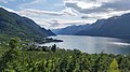 Frugtplantager på skråningerne langs fjorden