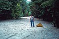 Ztvrdlá vrstva sedimentů, Mount St. Helens, 1980