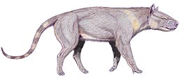 Synoplotherium