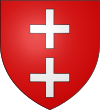 Brasão de armas de Saint-Étienne-de-Tinée